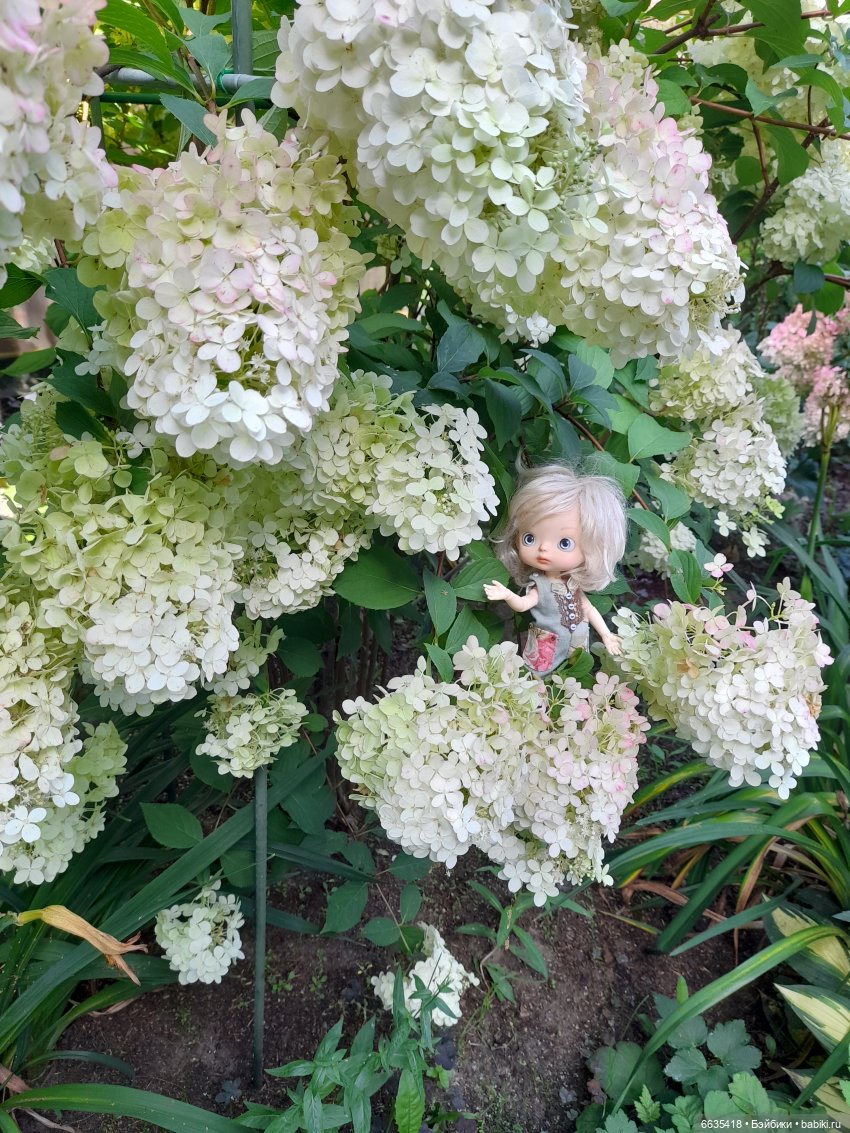 Новая девочка в новом образе (фото 3)