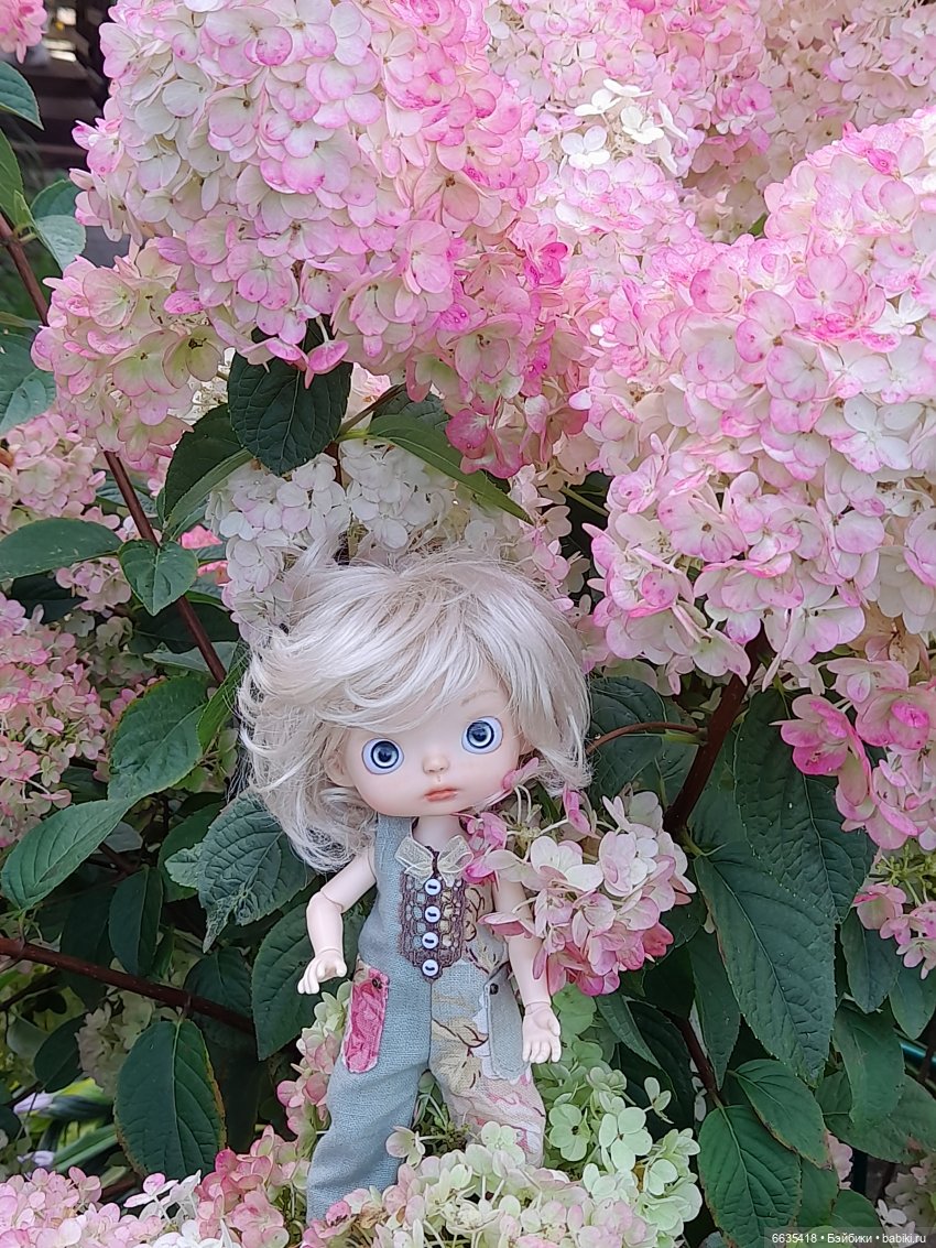 Новая девочка в новом образе (фото 6)