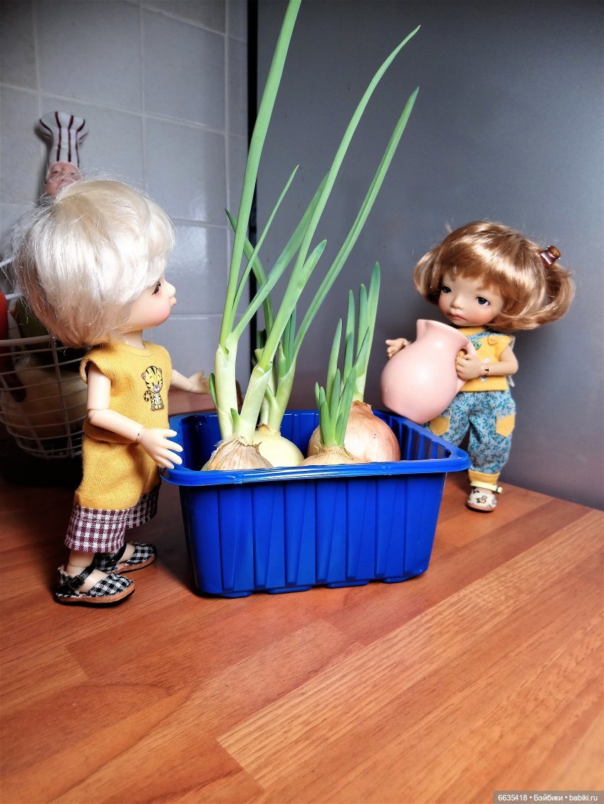 Будь Ангелом — Куклы Latidoll (Лати): BJD (БЖД) (фото 9)