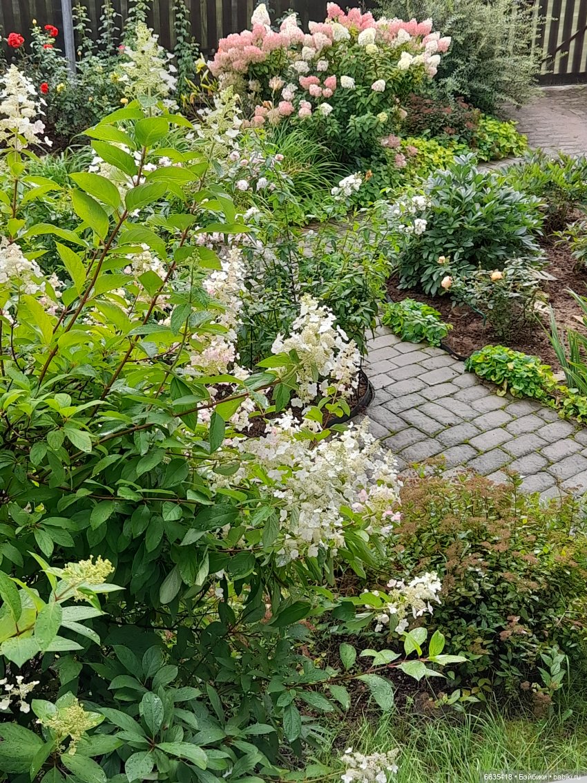 Мы будем ждать — Азиатские виниловые куклы (разное): Китай