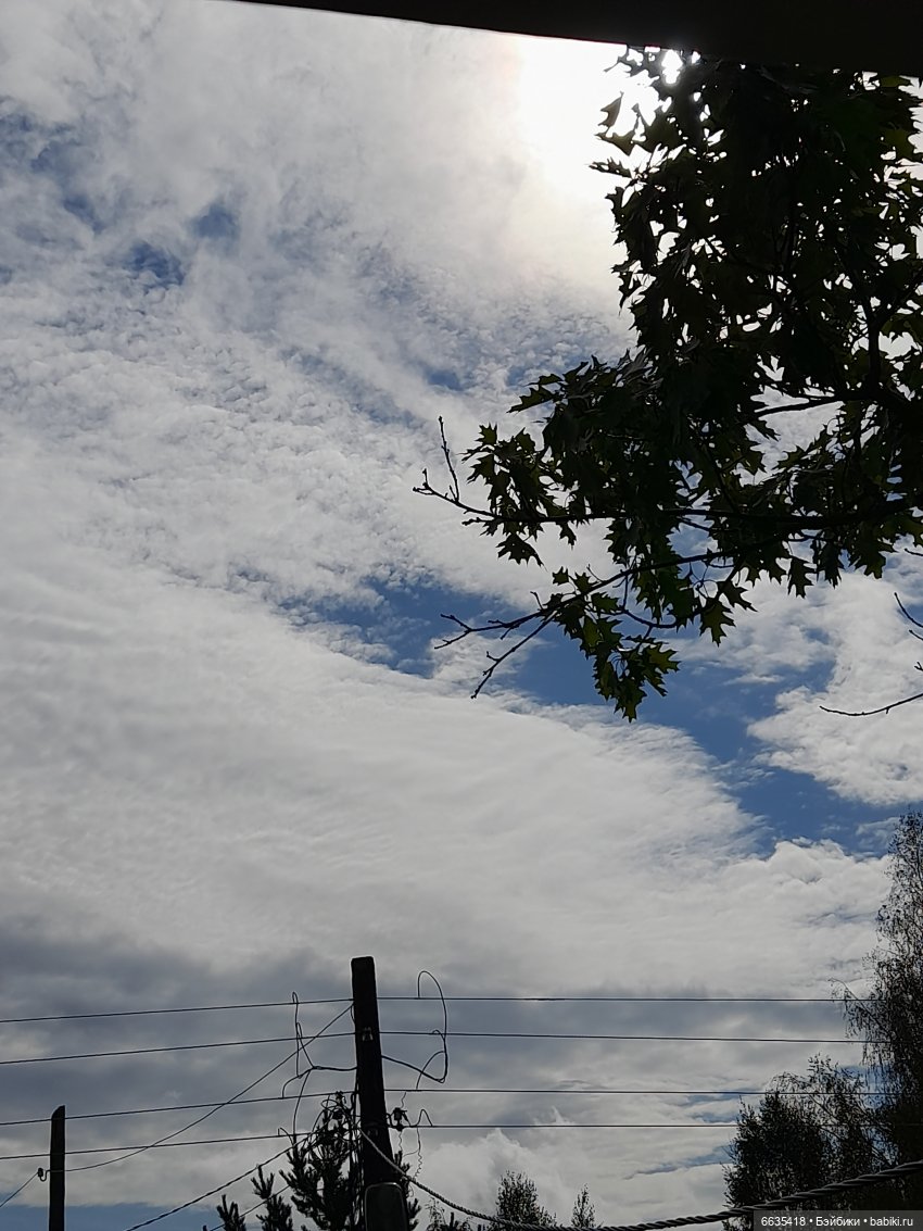 Мы будем ждать — Азиатские виниловые куклы (разное): Китай