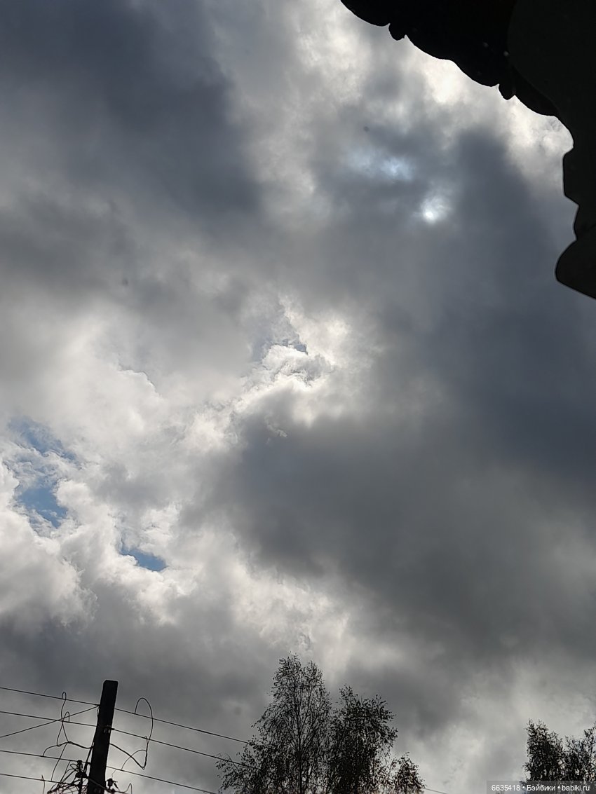 Мы будем ждать — Азиатские виниловые куклы (разное): Китай