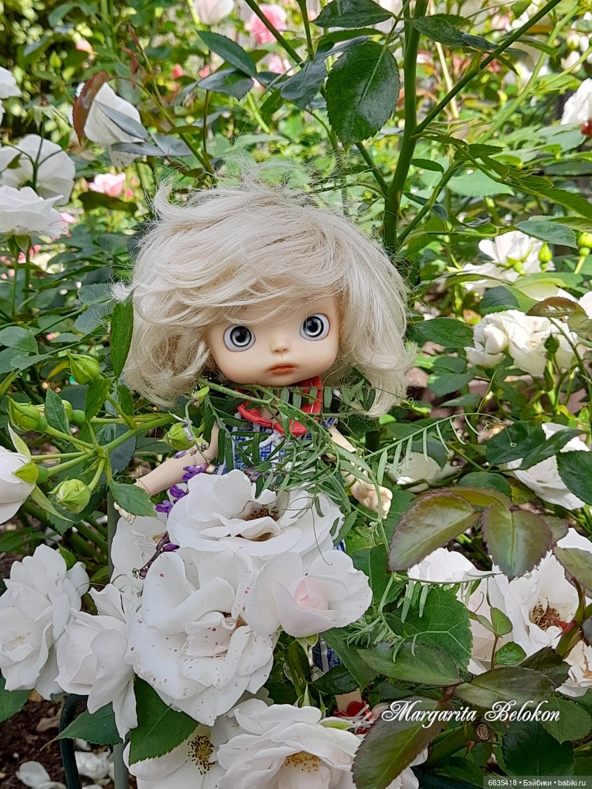 Хочу быть цветочной феей — Азиатские виниловые куклы (разное): Китай