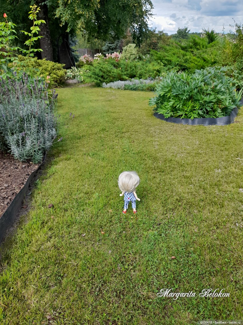 Хочу быть цветочной феей — Азиатские виниловые куклы (разное): Китай