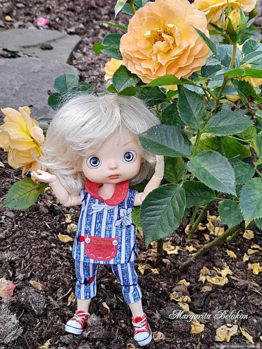 Хочу быть цветочной феей — Азиатские виниловые куклы (разное): Китай