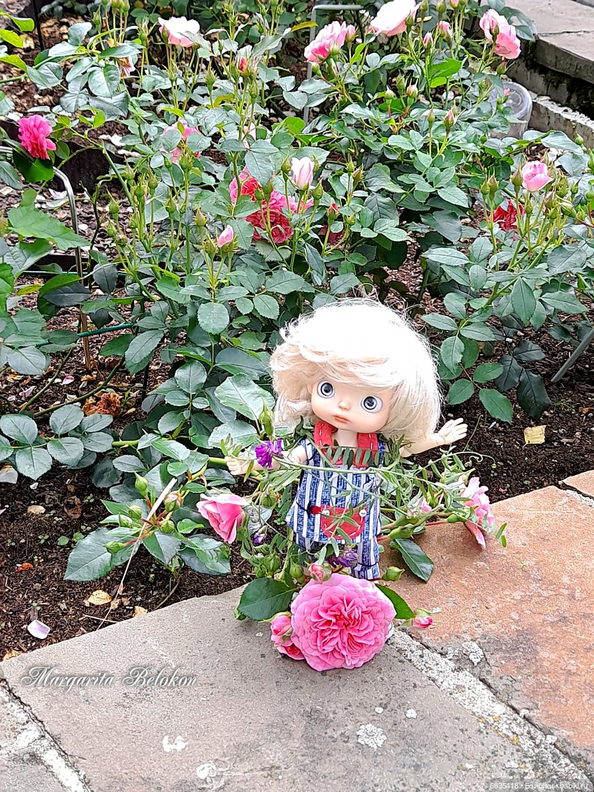 Хочу быть цветочной феей — Азиатские виниловые куклы (разное): Китай