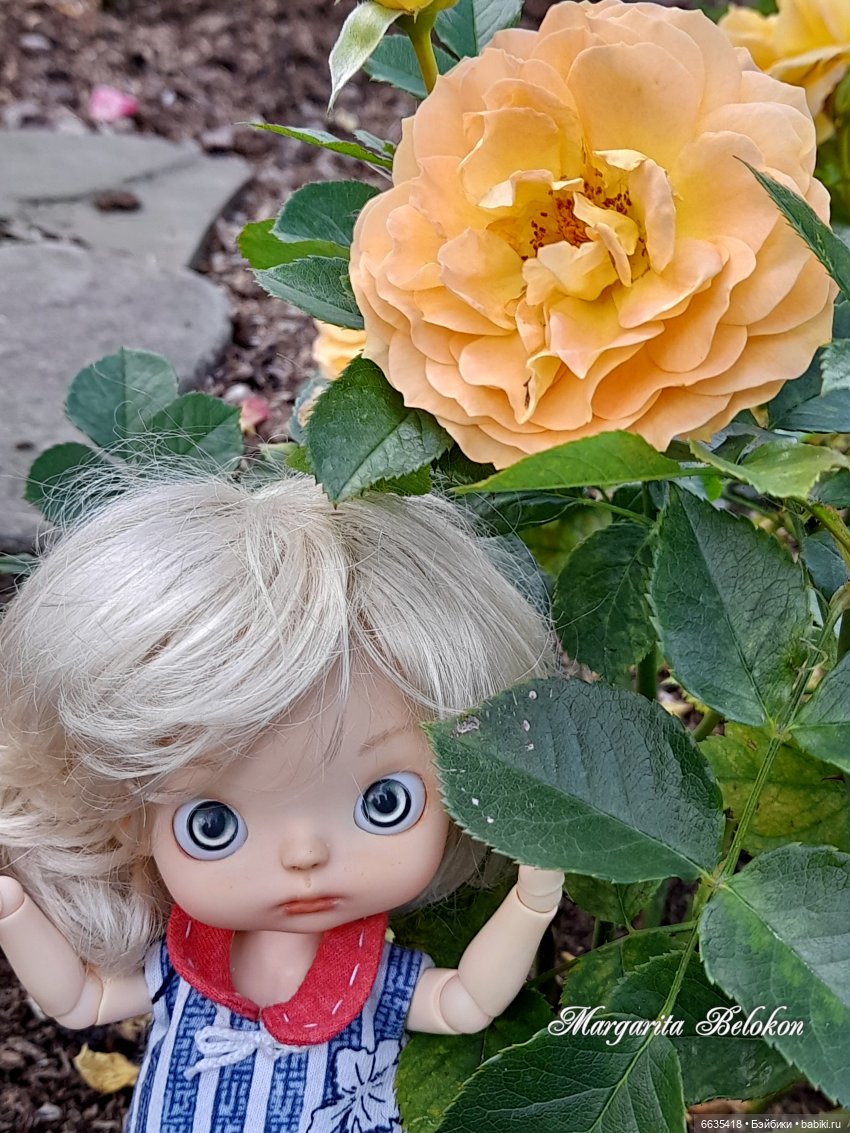 Хочу быть цветочной феей — Азиатские виниловые куклы (разное): Китай