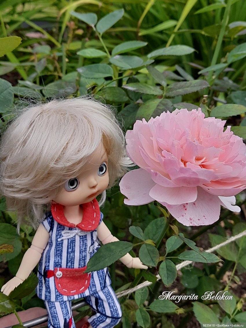 Хочу быть цветочной феей — Азиатские виниловые куклы (разное): Китай