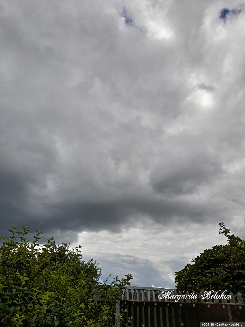 Хочу быть цветочной феей — Азиатские виниловые куклы (разное): Китай