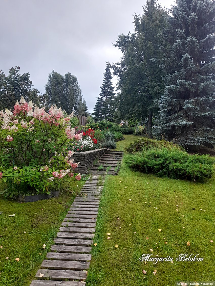 Хочу быть цветочной феей — Азиатские виниловые куклы (разное): Китай