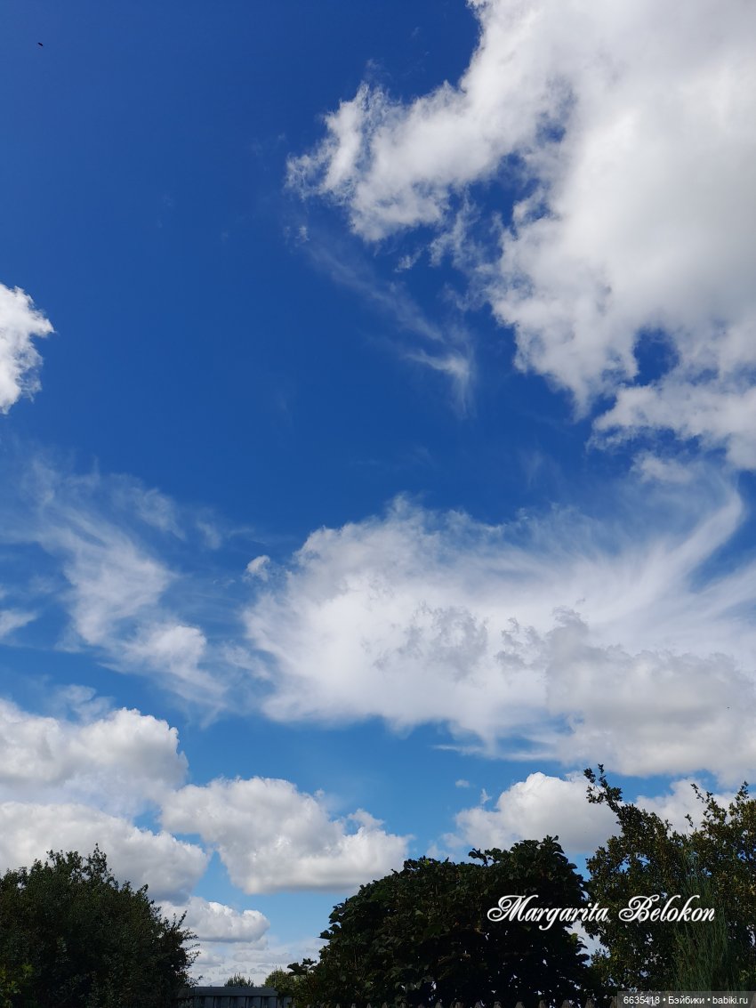 Хочу быть цветочной феей — Азиатские виниловые куклы (разное): Китай