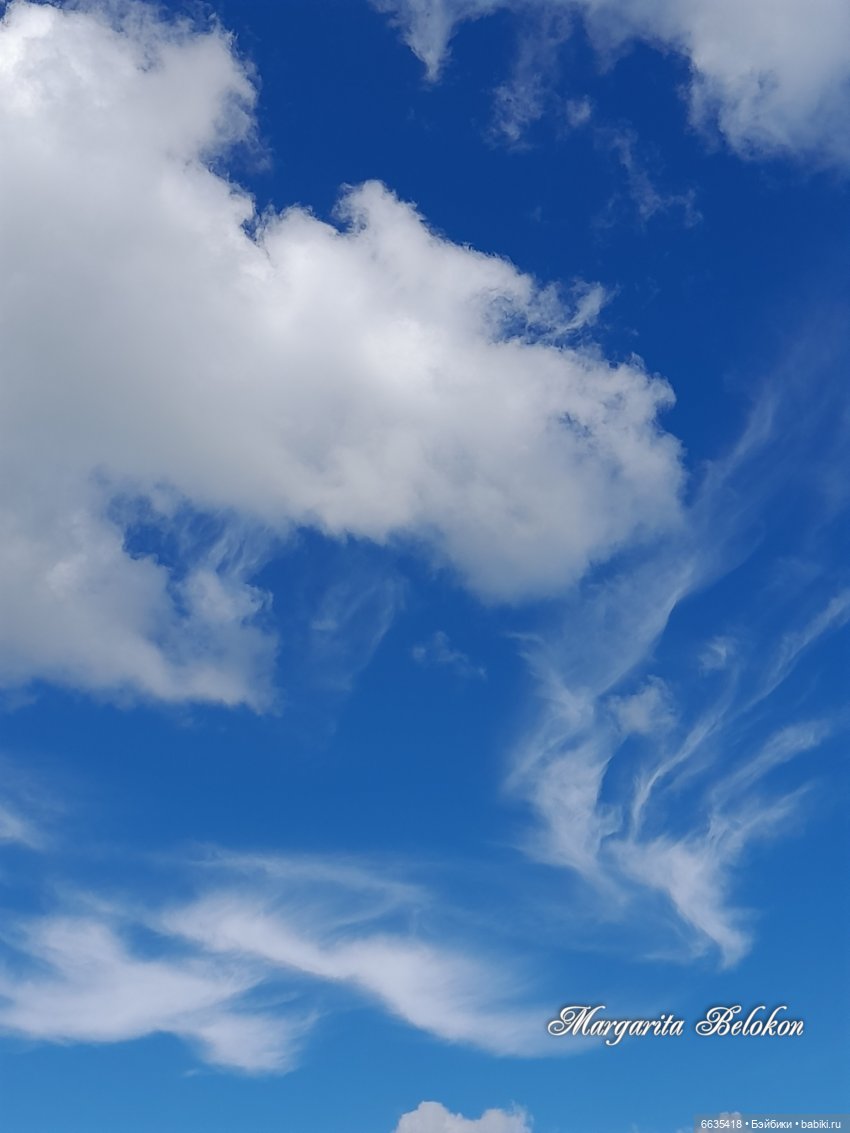 Хочу быть цветочной феей — Азиатские виниловые куклы (разное): Китай (фото 10)