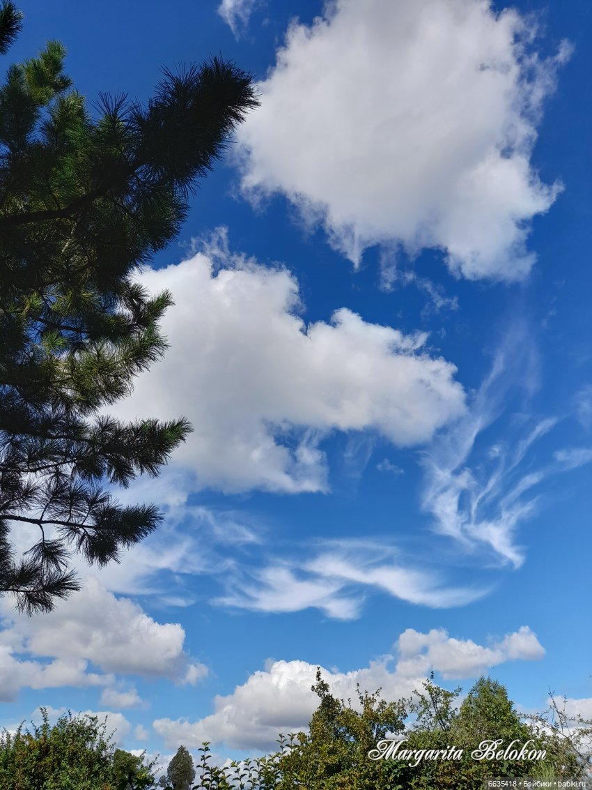 Хочу быть цветочной феей — Азиатские виниловые куклы (разное): Китай (фото 9)