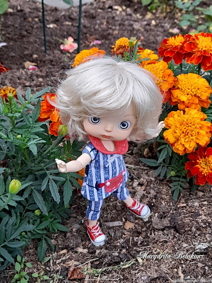 Хочу быть цветочной феей — Азиатские виниловые куклы (разное): Китай