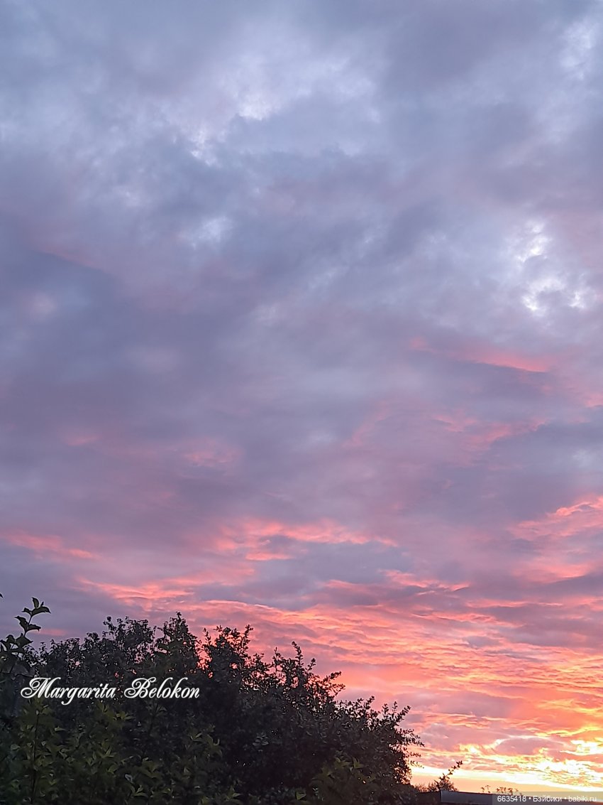 Хочу быть цветочной феей — Азиатские виниловые куклы (разное): Китай (фото 7)