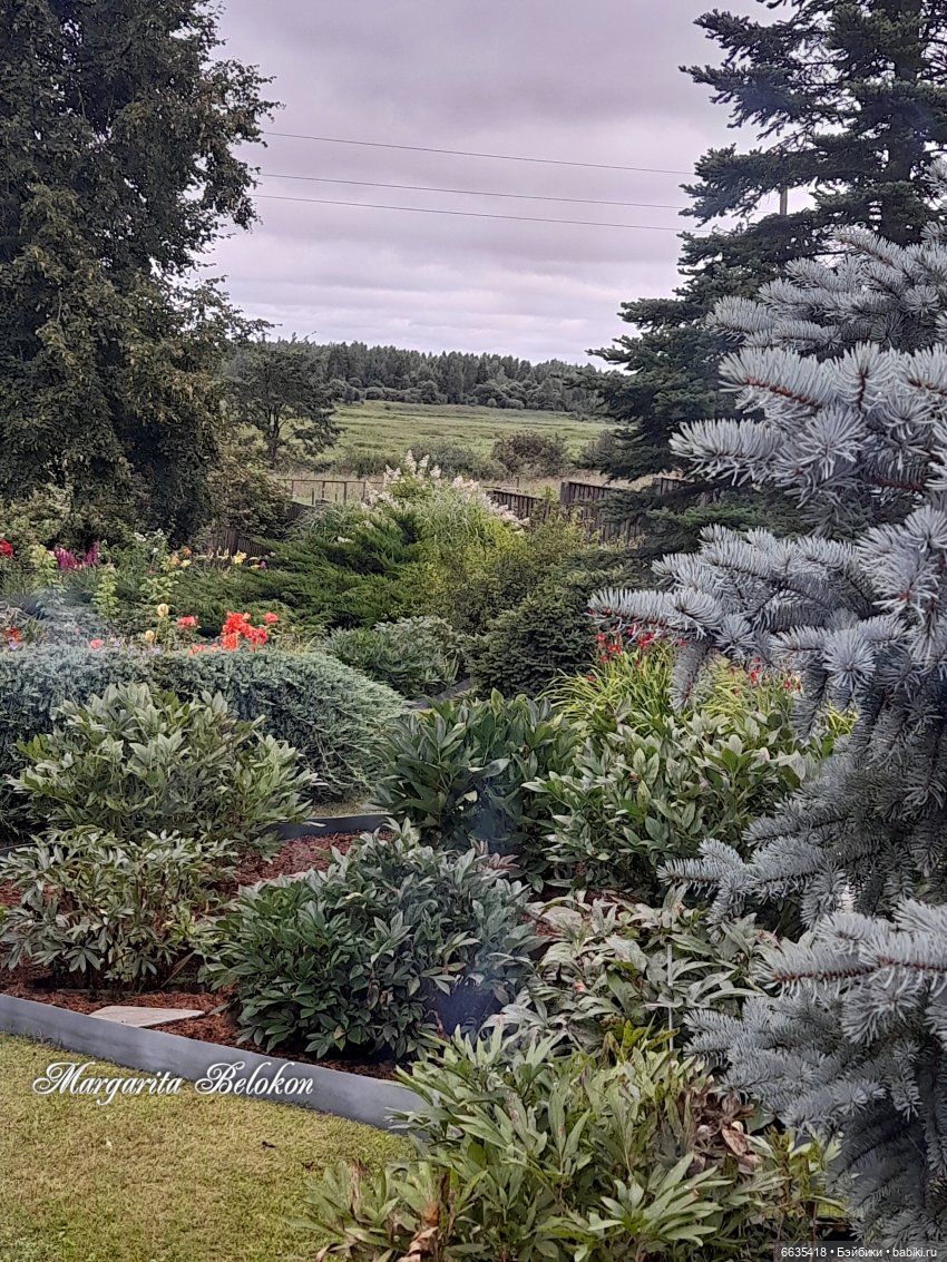 Хочу быть цветочной феей — Азиатские виниловые куклы (разное): Китай