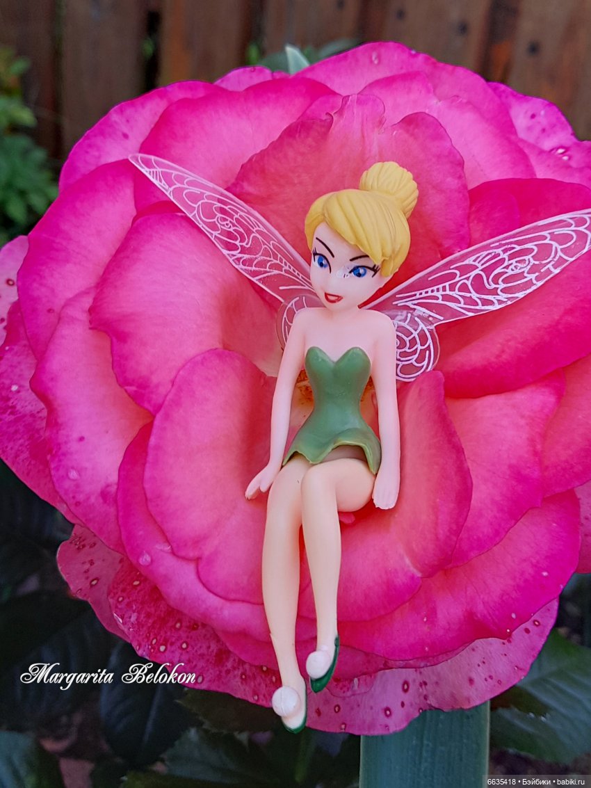 Хочу быть цветочной феей — Азиатские виниловые куклы (разное): Китай (фото 4)