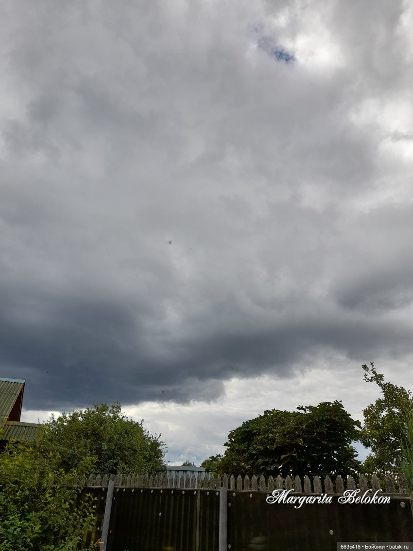 Хочу быть цветочной феей — Азиатские виниловые куклы (разное): Китай