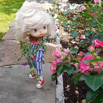 Хочу быть цветочной феей