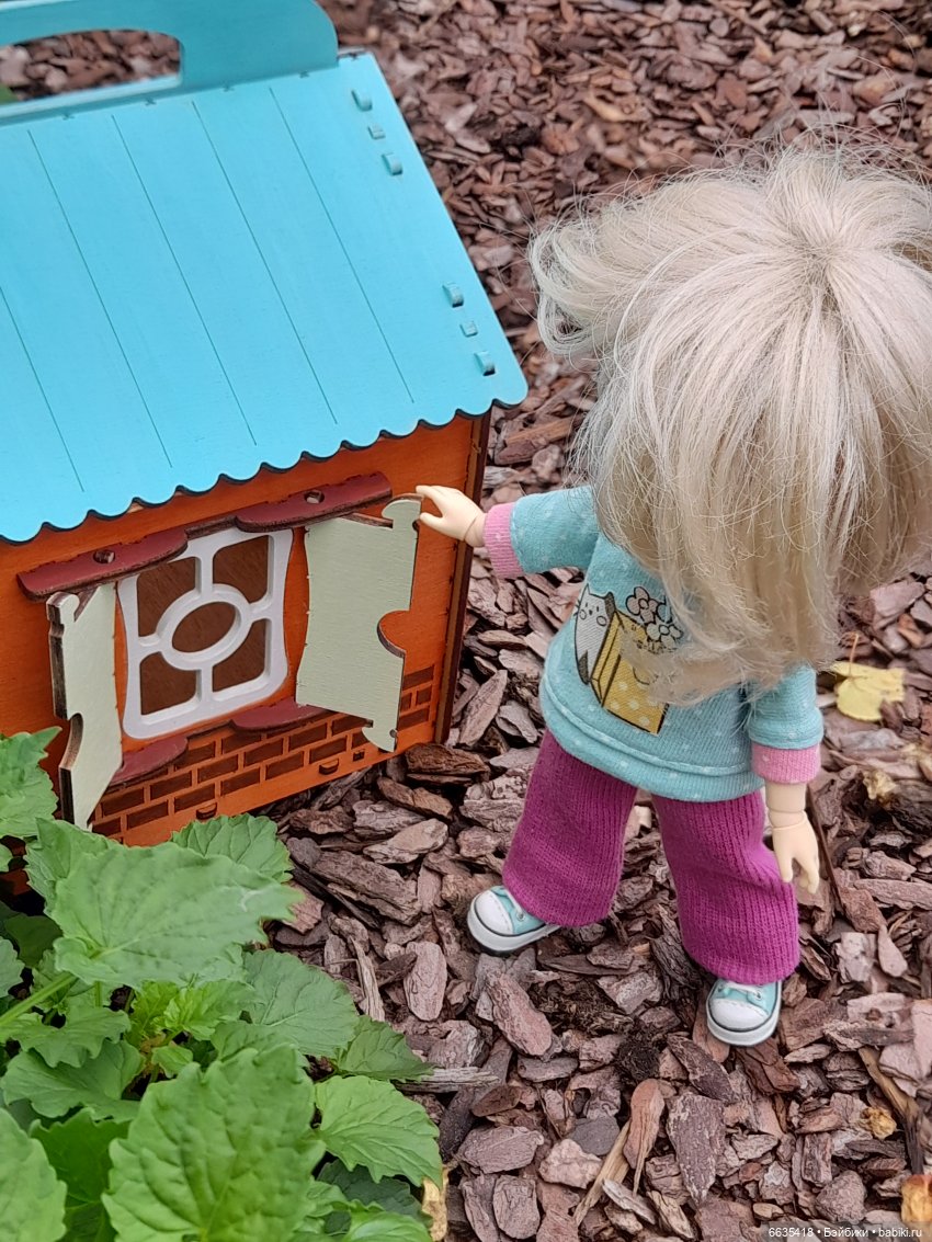 Кто в домике живёт — Азиатские виниловые куклы (разное): Китай