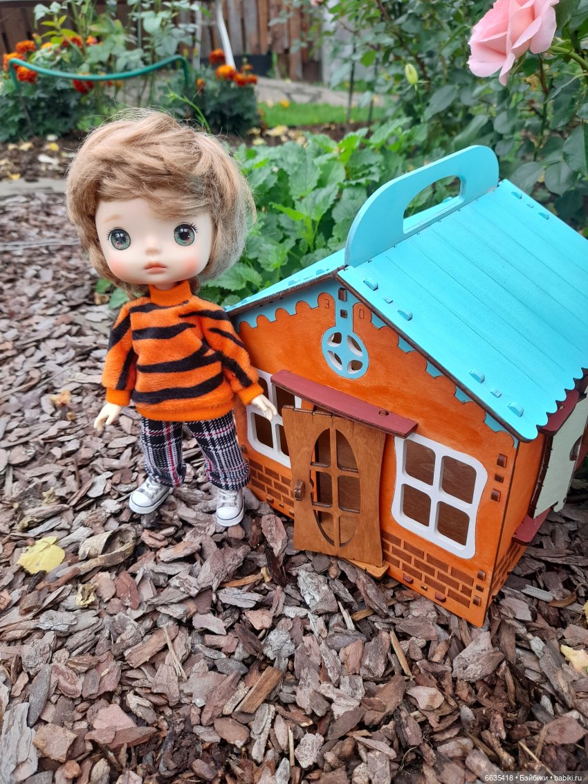 Кто в домике живёт — Азиатские виниловые куклы (разное): Китай