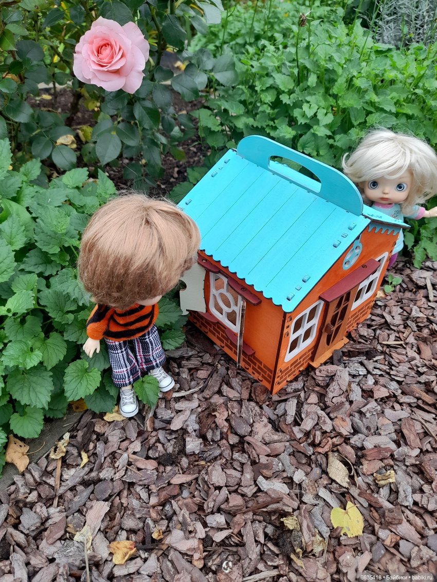 Кто в домике живёт — Азиатские виниловые куклы (разное): Китай