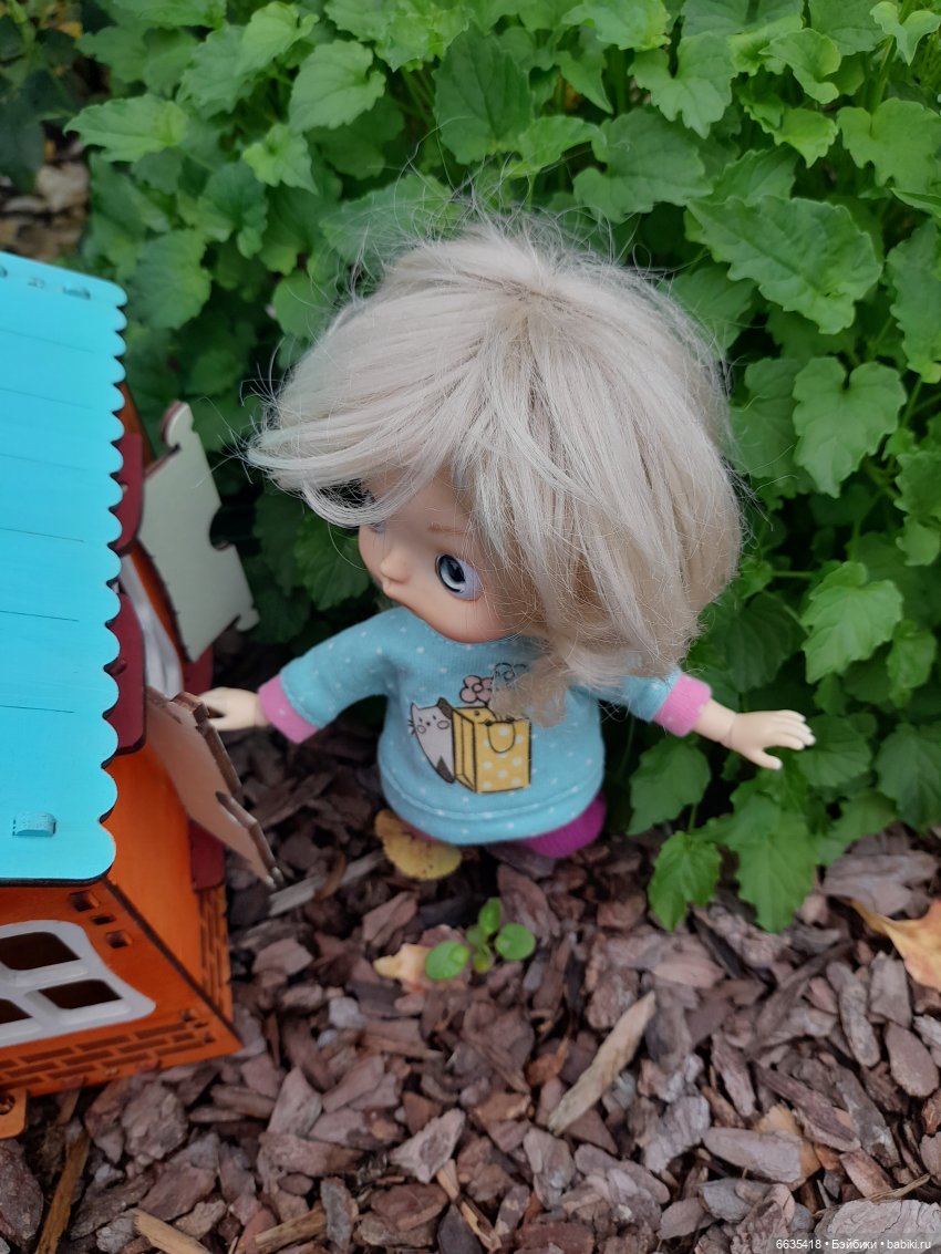 Кто в домике живёт — Азиатские виниловые куклы (разное): Китай