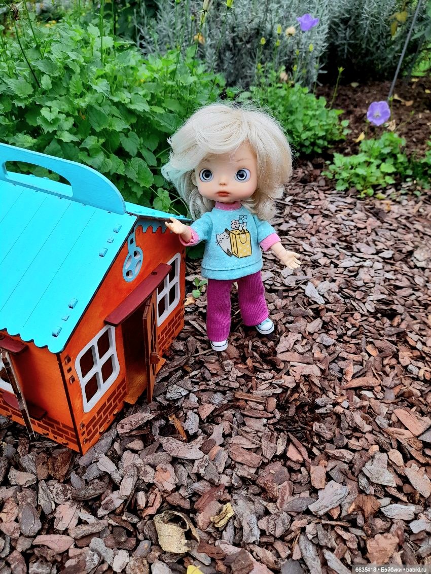 Кто в домике живёт — Азиатские виниловые куклы (разное): Китай