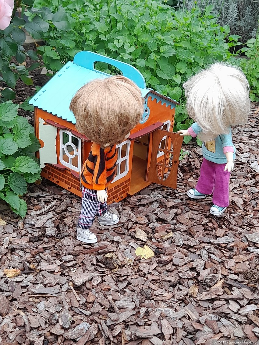 Кто в домике живёт — Азиатские виниловые куклы (разное): Китай