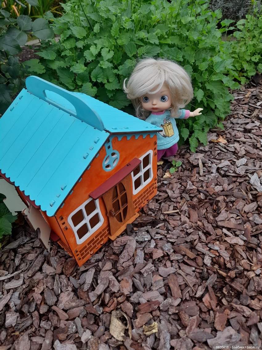 Кто в домике живёт — Азиатские виниловые куклы (разное): Китай