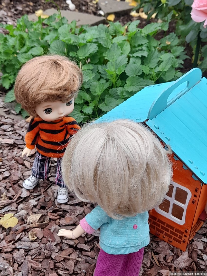 Кто в домике живёт — Азиатские виниловые куклы (разное): Китай