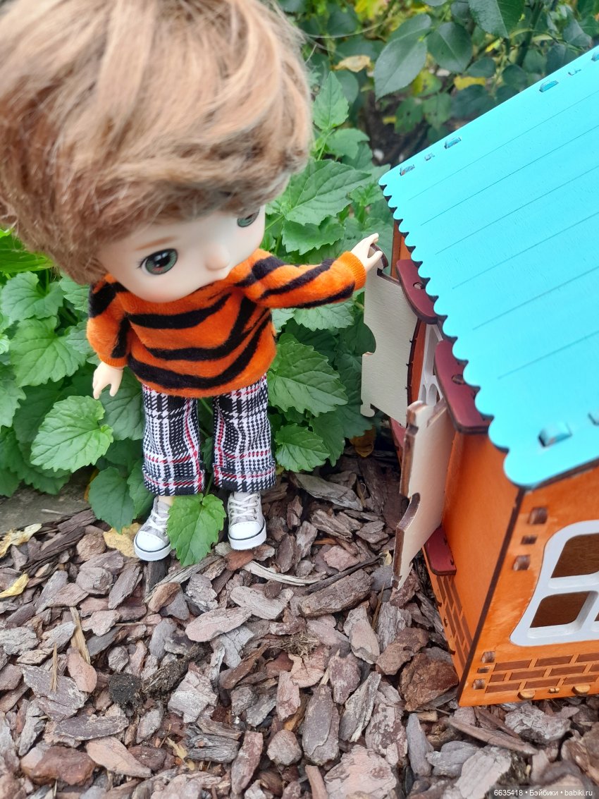 Кто в домике живёт — Азиатские виниловые куклы (разное): Китай