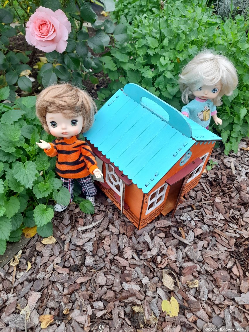 Кто в домике живёт — Азиатские виниловые куклы (разное): Китай (фото 10)