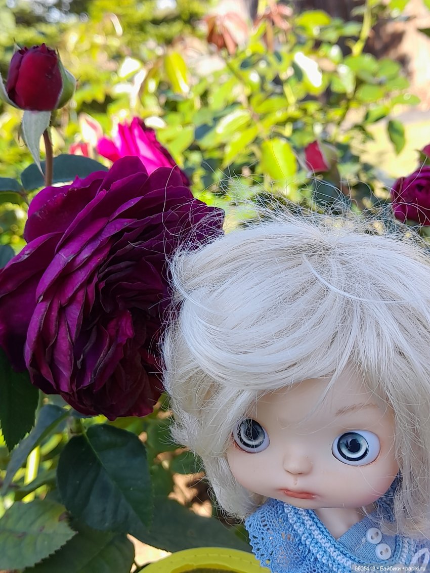 День положительных эмоций (фото 5)