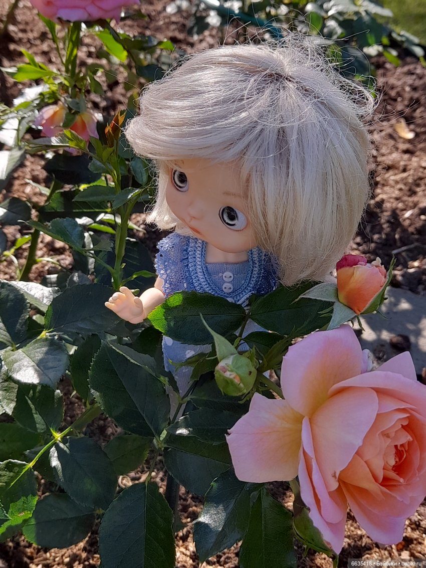 День положительных эмоций