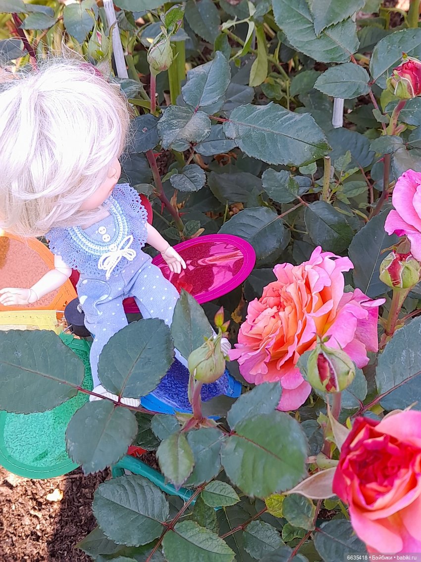 День положительных эмоций (фото 8)