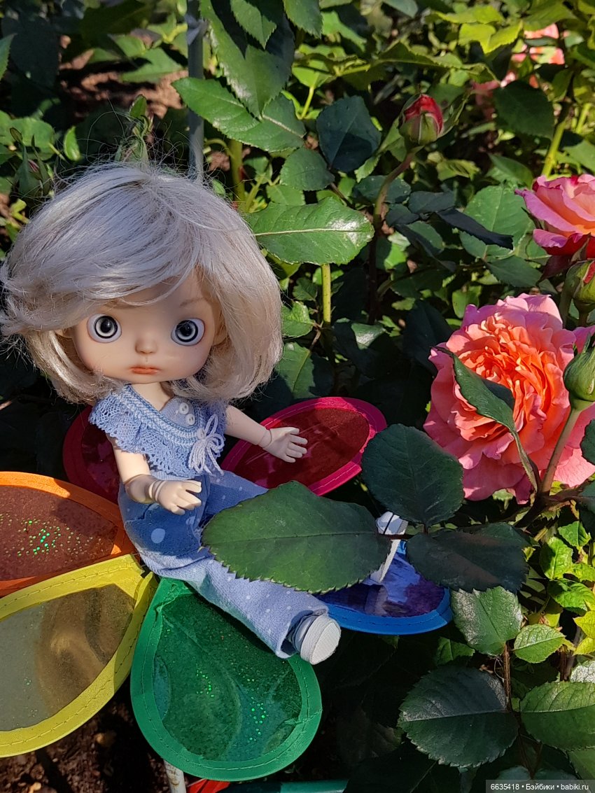 День положительных эмоций (фото 6)