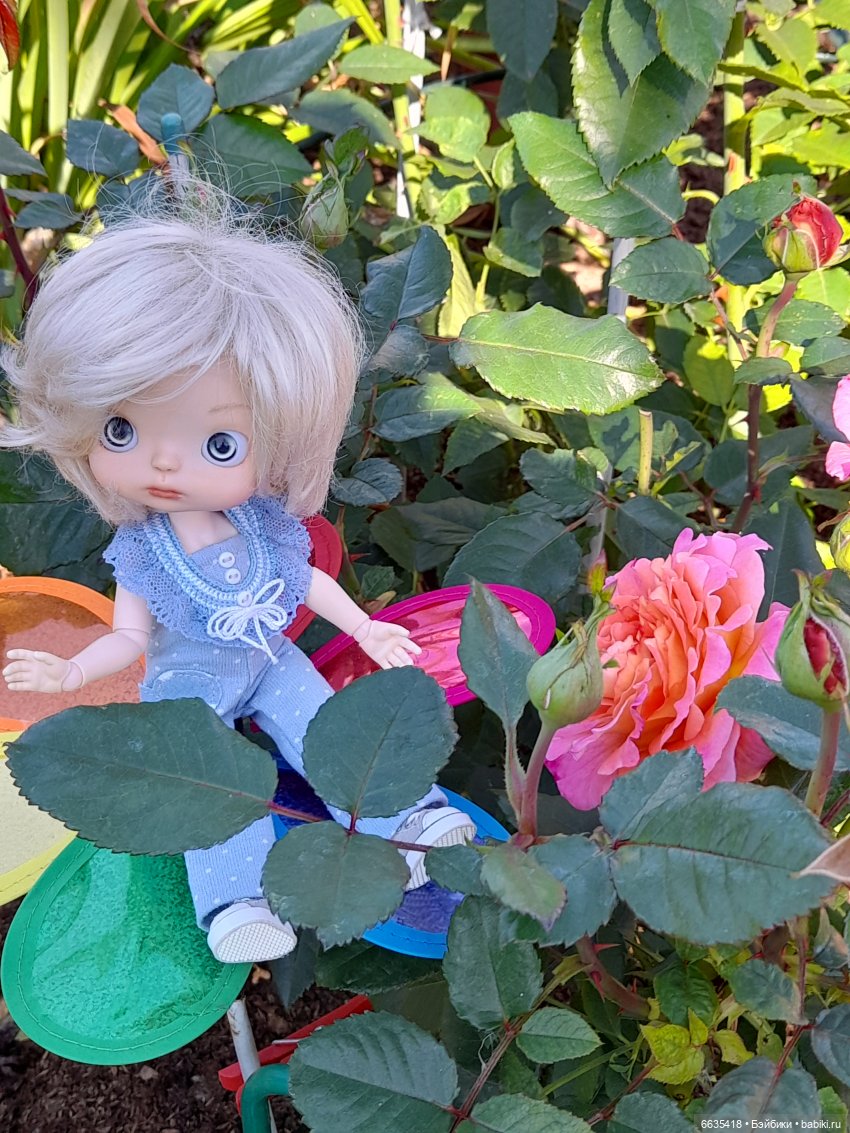 День положительных эмоций (фото 7)