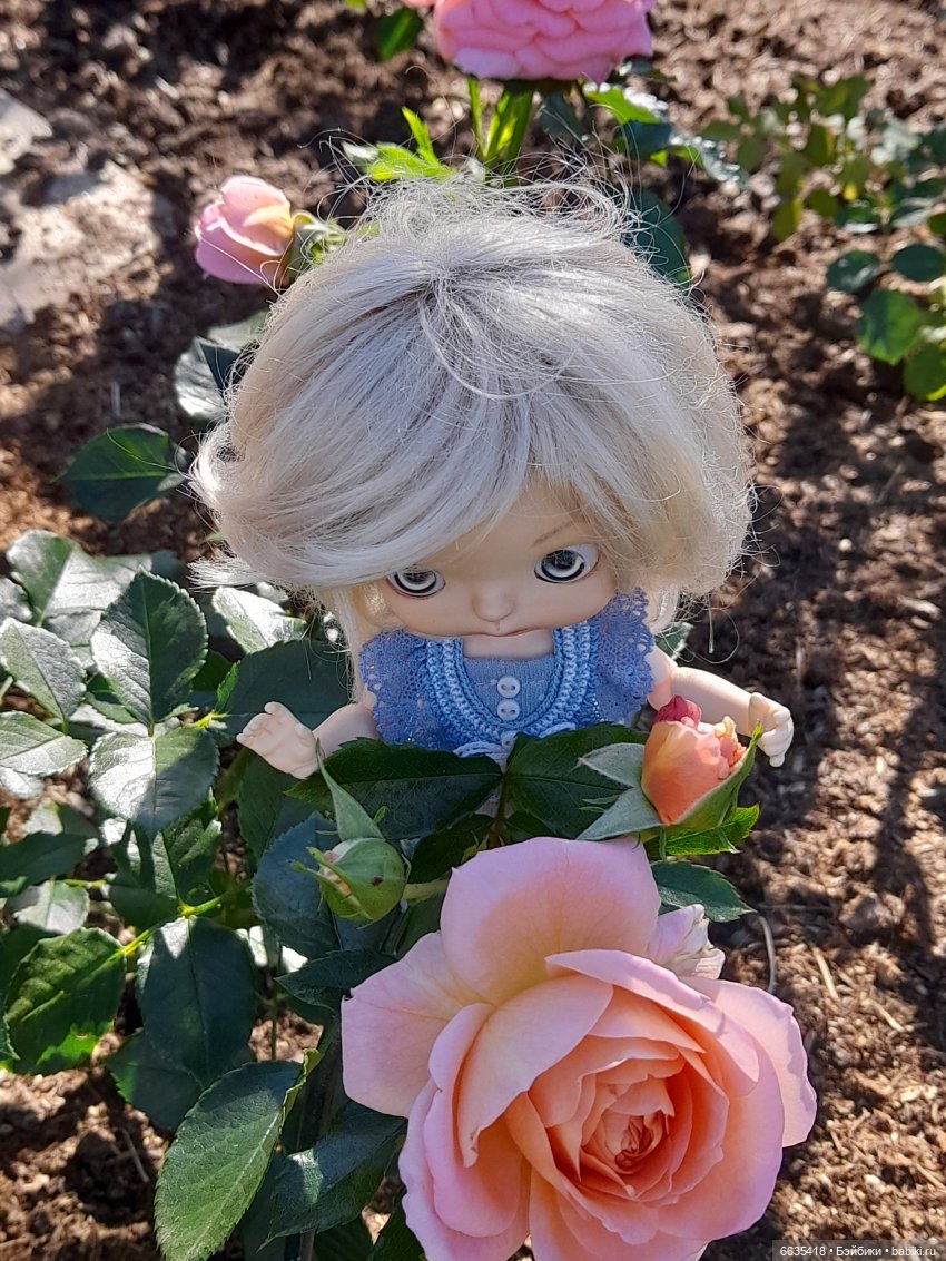 День положительных эмоций