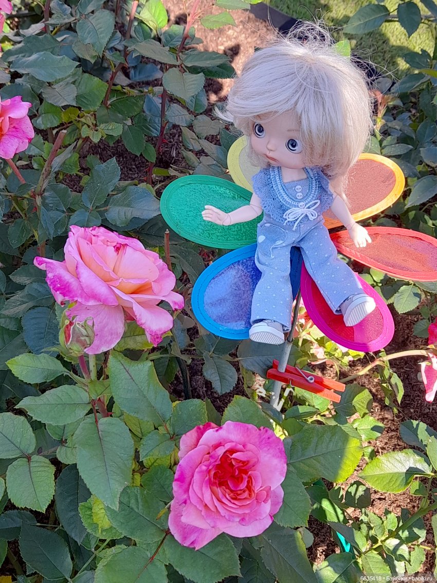 День положительных эмоций (фото 9)