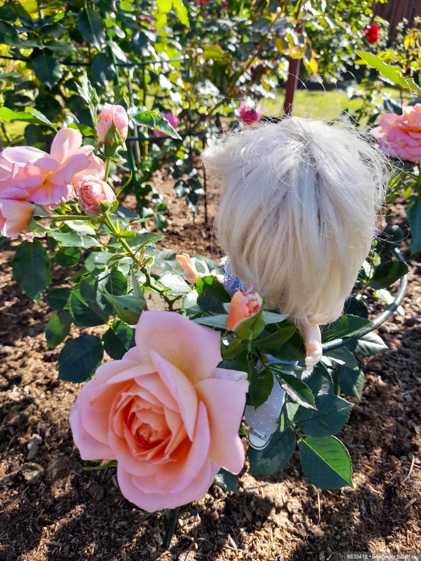 День положительных эмоций