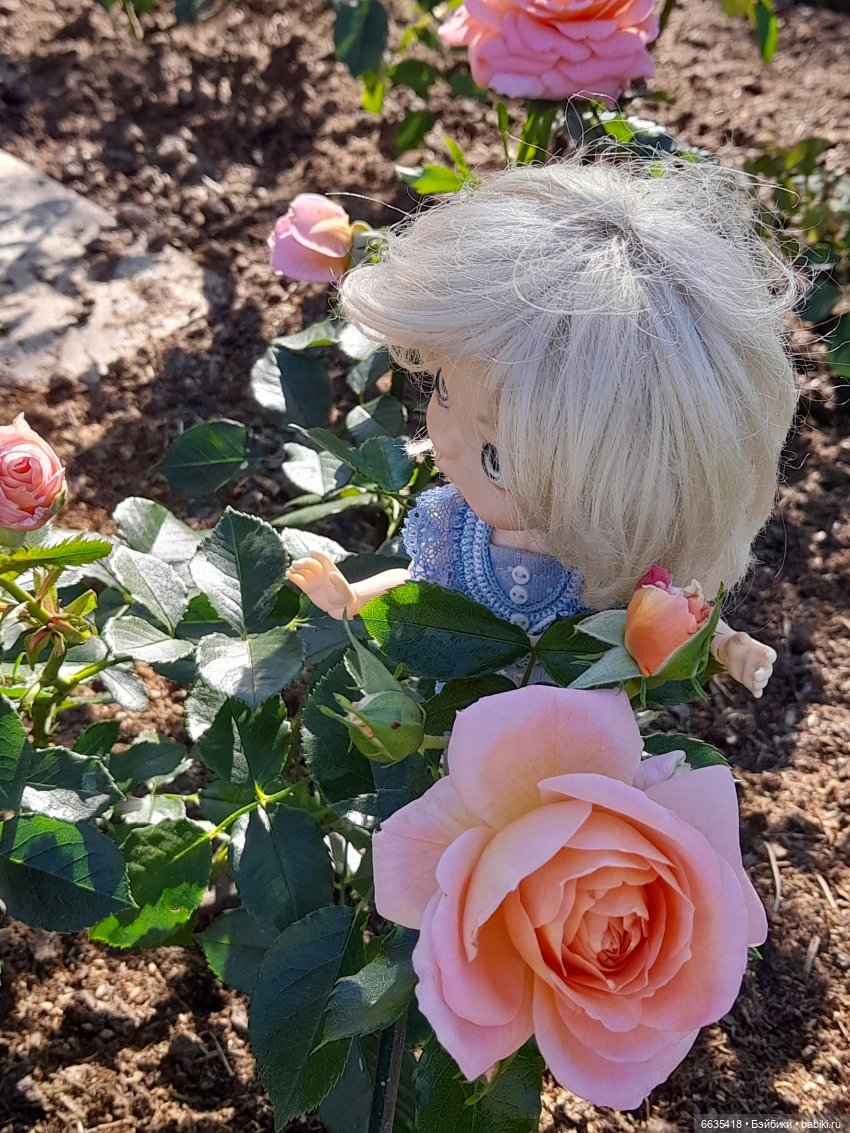 День положительных эмоций (фото 10)