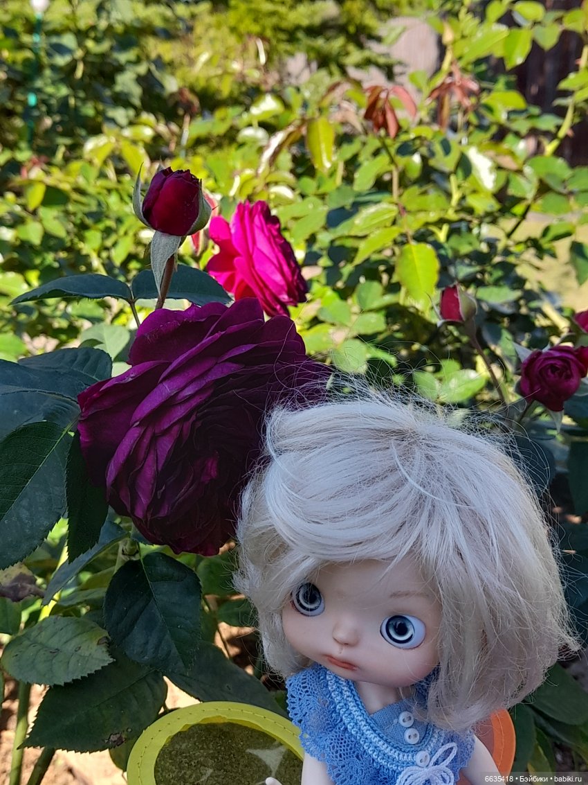 День положительных эмоций (фото 4)