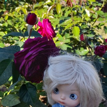 День положительных эмоций