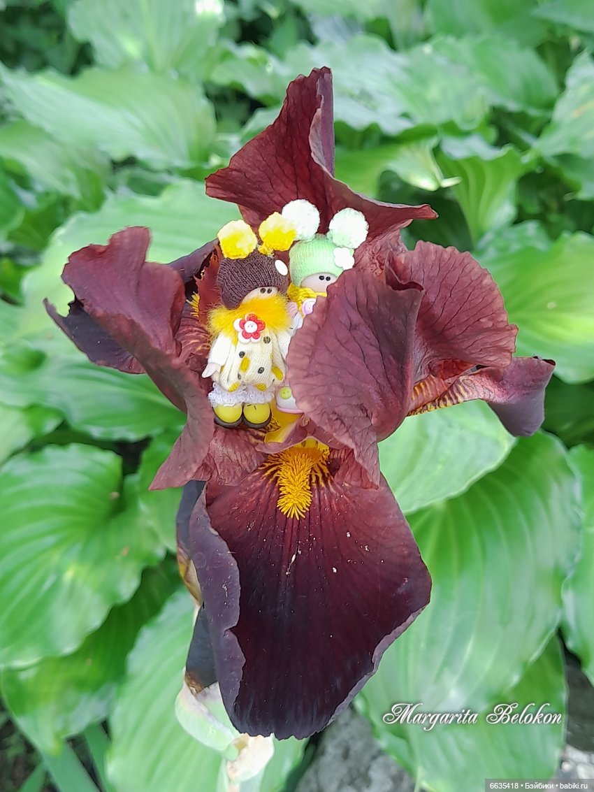 Дом счастья — Кукольные фотоистории и сериалы: комиксы