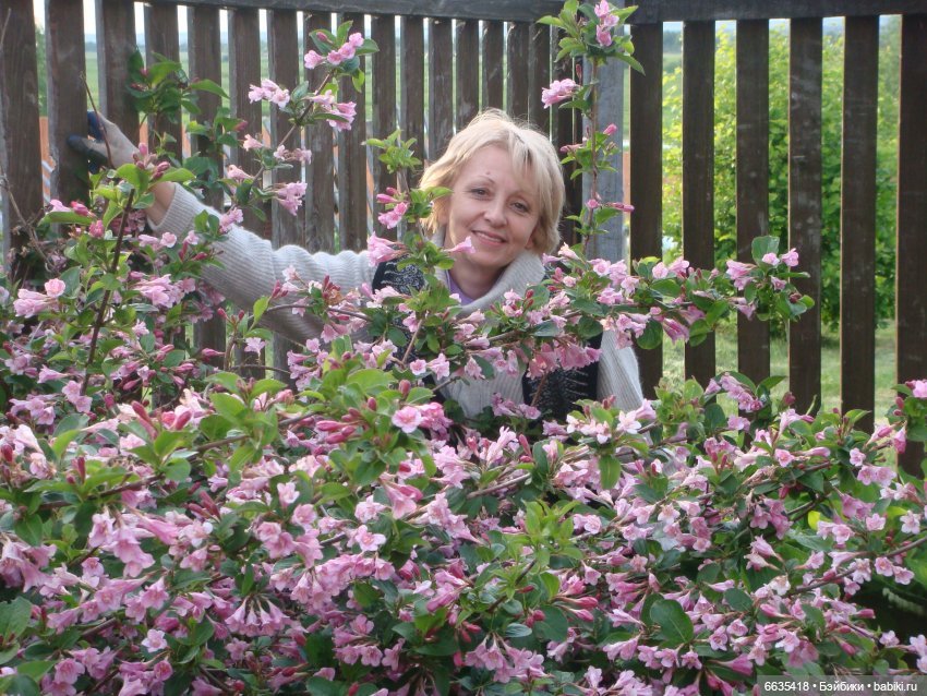 Дом счастья — Кукольные фотоистории и сериалы: комиксы