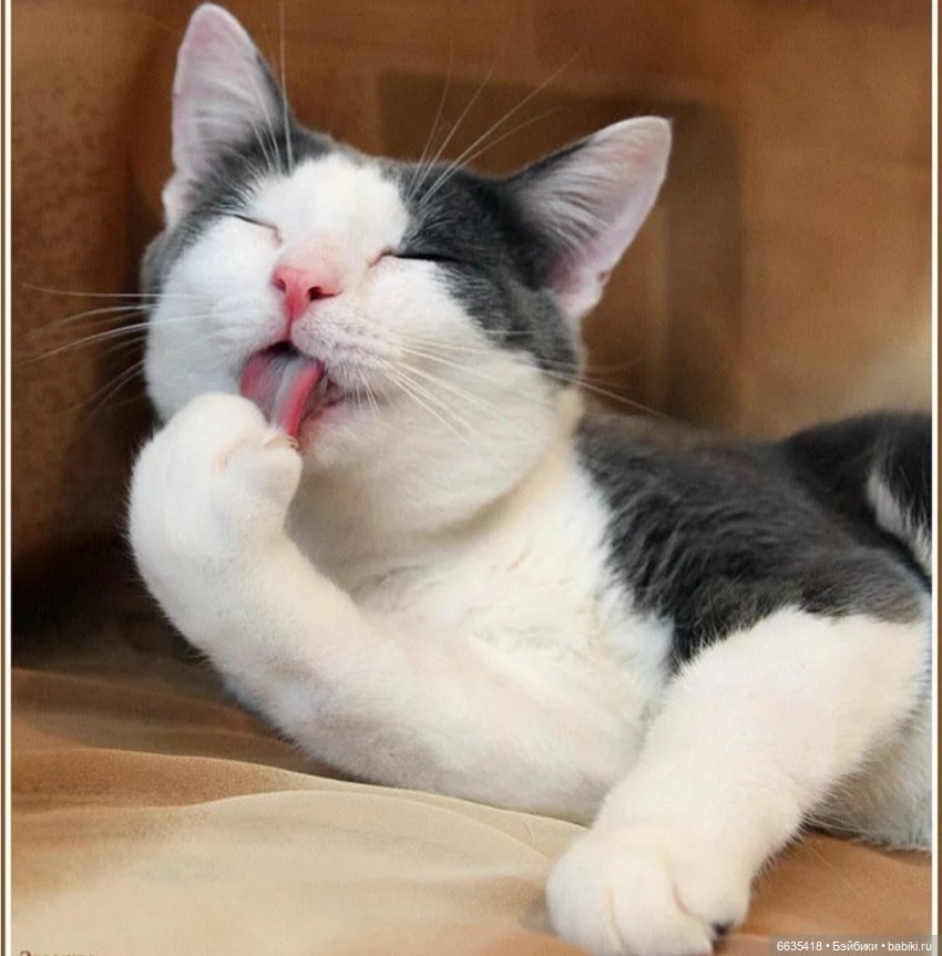 Сказка о Счастье — Куклы Kaye Wiggs (Кайе Виггс): авторские BJD (БЖД)