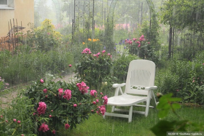 Сказка о Счастье — Куклы Kaye Wiggs (Кайе Виггс): авторские BJD (БЖД)