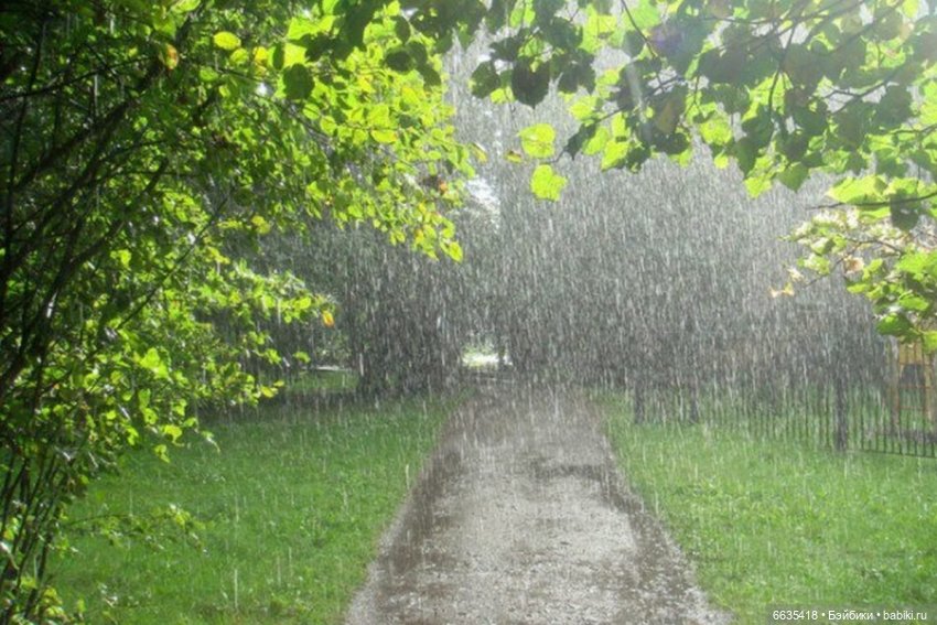 Сказка о Счастье — Куклы Kaye Wiggs (Кайе Виггс): авторские BJD (БЖД)