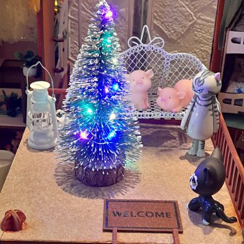 Раз, два, три! Ёлочка, гори!